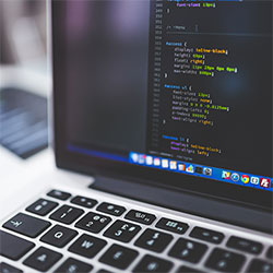 探秘“新河吧”：带你走进未来社区的新标杆