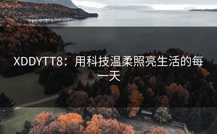 XDDYTT8:用科技温柔照亮生活的每一天