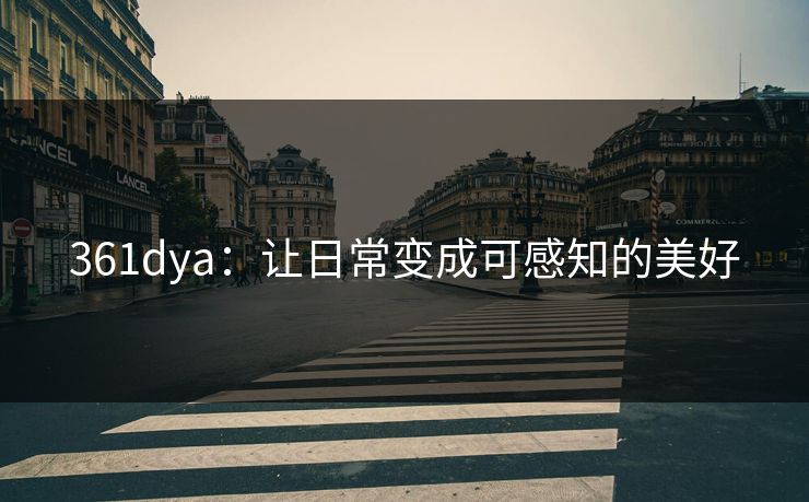 361dya:让日常变成可感知的美好