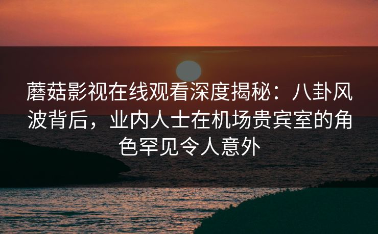 蘑菇影视在线观看深度揭秘：八卦风波背后，业内人士在机场贵宾室的角色罕见令人意外