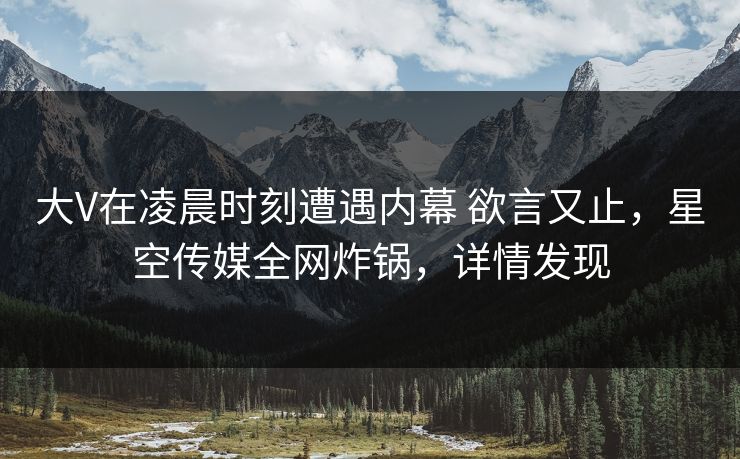 大V在凌晨时刻遭遇内幕 欲言又止,星空传媒全网炸锅,详情发现 大V在凌晨时刻遭遇内幕 欲言又止,星空传媒全网炸锅,详情发现