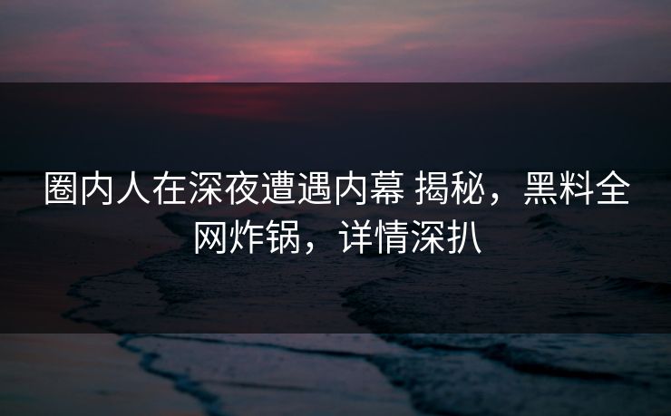 圈内人在深夜遭遇内幕 揭秘，黑料全网炸锅，详情深扒