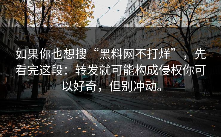 如果你也想搜“黑料网不打烊”，先看完这段：转发就可能构成侵权你可以好奇，但别冲动。